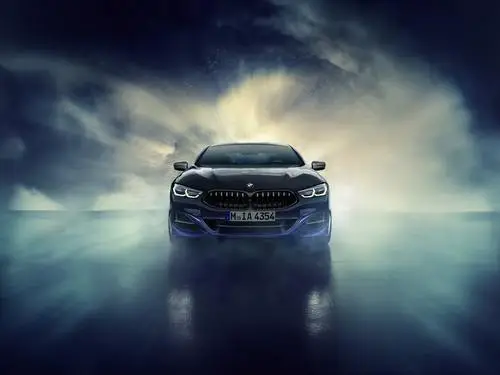 2019 BMW Individual M850i ( G15 ) coupe xDrive Night Sky Protected Face mask - idPoster.com