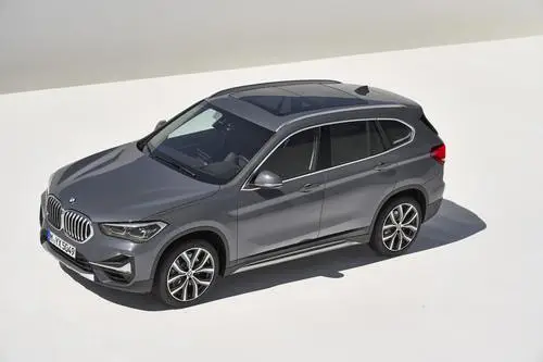 2019 BMW X1 ( F48 ) xDrive 25i Protected Face mask - idPoster.com