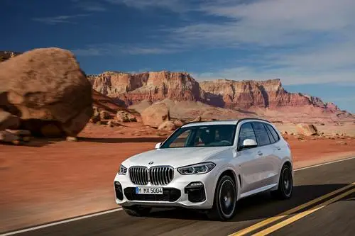 2019 BMW X5 ( G05 ) xDrive 30d Protected Face mask - idPoster.com