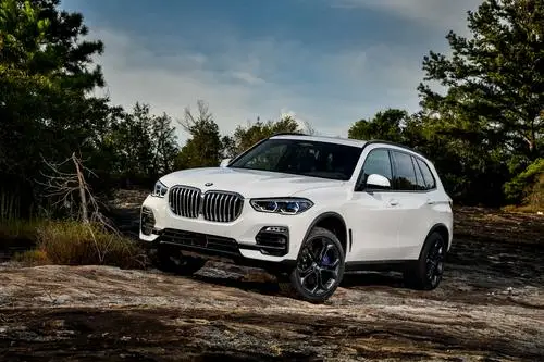 2019 BMW X5 ( G05 ) xDrive 30d Wall Poster picture 968985