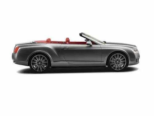 2009 Bentley Continental GTC Speed Jigsaw Puzzle picture 98788