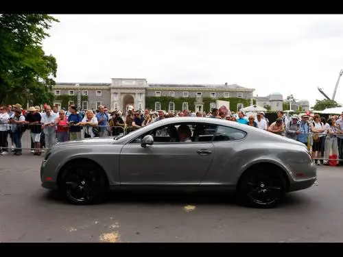 2009 Bentley Continental Supersports at Goodwood Jigsaw Puzzle picture 98794