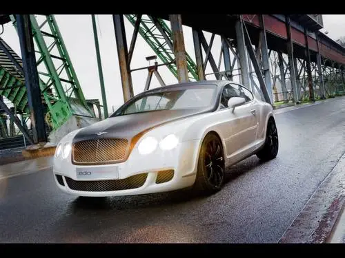 2009 Edo Competition Bentley Speed GT Image Jpg picture 98798