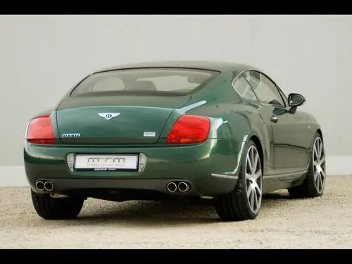 2009 MTM Bentley Continental GT Birkin Edition Tote Bag - idPoster.com