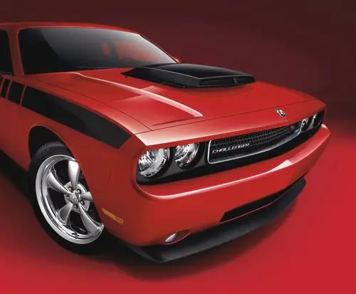 2010 Dodge Challenger Performance Appearance Package Jigsaw Puzzle picture 99359