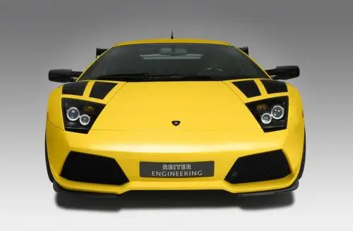 2009 Reiter Lamborghini Murcielago Streetversion Protected Face mask - idPoster.com