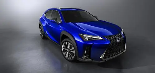 2018 Lexus UX 250h F-Sport Protected Face mask - idPoster.com