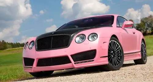2010 Mansory Bentley Vitesse Rose Jigsaw Puzzle picture 100453