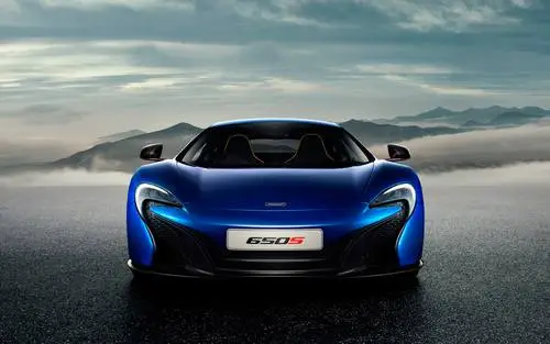 2015 McLaren 650s Coupe Protected Face mask - idPoster.com