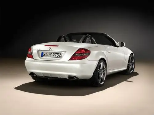 2009 Mercedes-Benz SLK 2LOOK Edition Wall Poster picture 100787