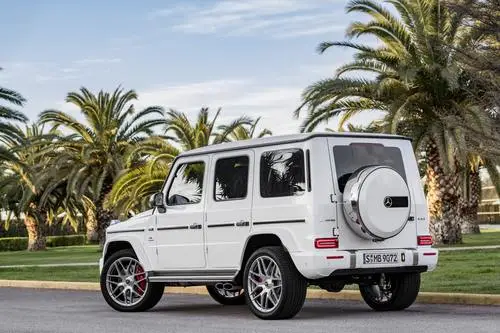 2018 Mercedes-AMG G63 Wall Poster picture 793313