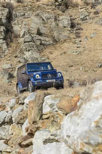 2019 Mercedes-Benz G 350D Wall Poster picture 891026