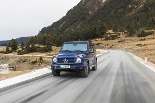 2019 Mercedes-Benz G 350D Wall Poster picture 891032