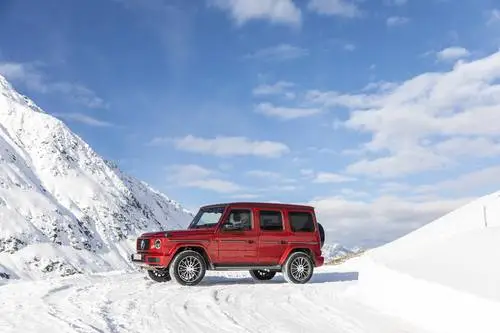2019 Mercedes-Benz G 350D Wall Poster picture 891035