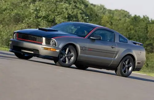 2009 Ford Mustang AV8R Jigsaw Puzzle picture 99595