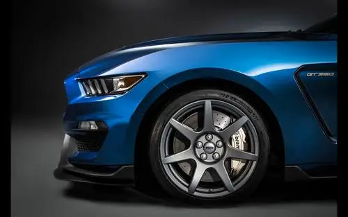 2016 Ford Shelby GT350R Mustang Jigsaw Puzzle picture 907803