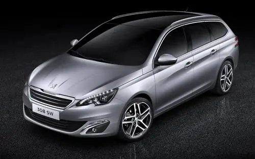 2014 Peugeot 308 SW Protected Face mask - idPoster.com