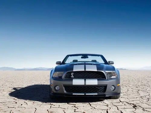 2010 Ford Shelby GT500 Computer MousePad picture 99673