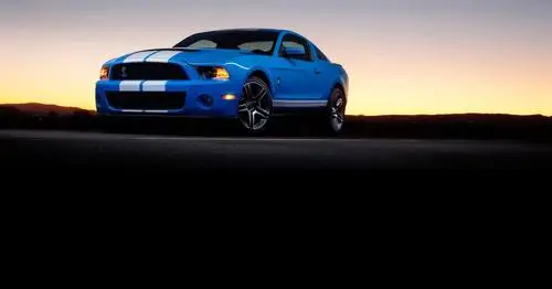 2010 Ford Shelby GT500 Fridge Magnet picture 99675