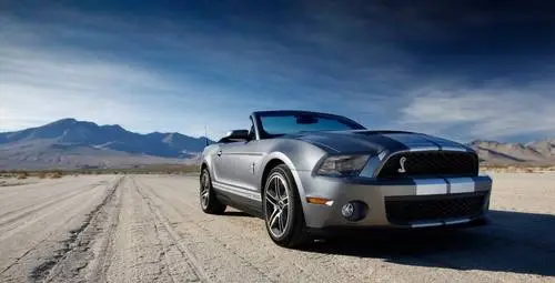 2010 Ford Shelby GT500 Fridge Magnet picture 99676