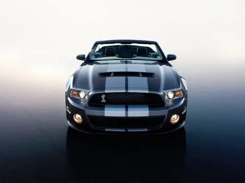2010 Ford Shelby GT500 Men's Colored T-Shirt - idPoster.com