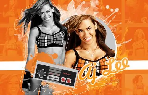 AJ Lee Wall Poster picture 200571