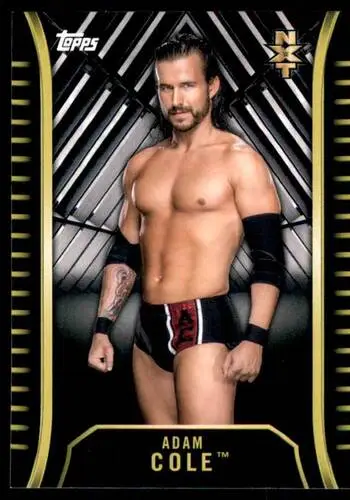 Adam Cole Wall Poster picture 868416