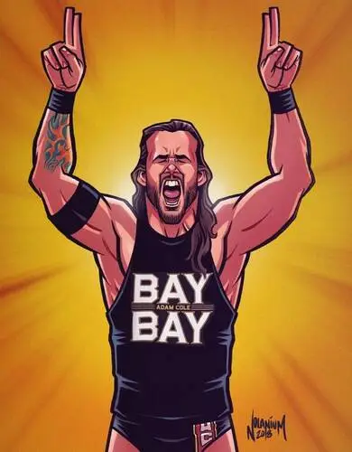 Adam Cole Wall Poster picture 868417