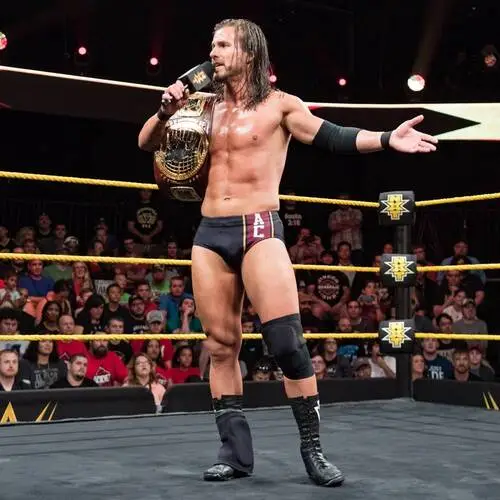 Adam Cole Wall Poster picture 868419
