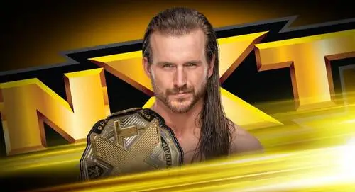 Adam Cole Wall Poster picture 868420