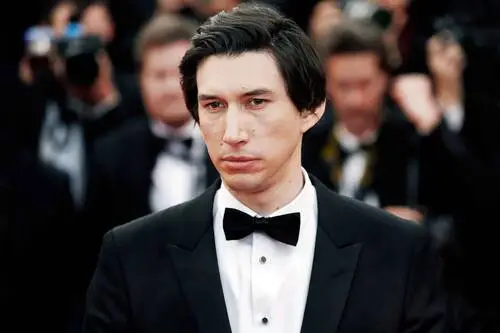 Adam Driver Wall Poster picture 928408