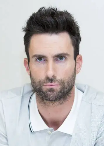 Adam Levine Wall Poster picture 791699