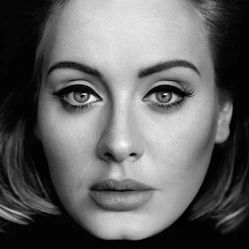 Adele Jigsaw Puzzle picture 555865