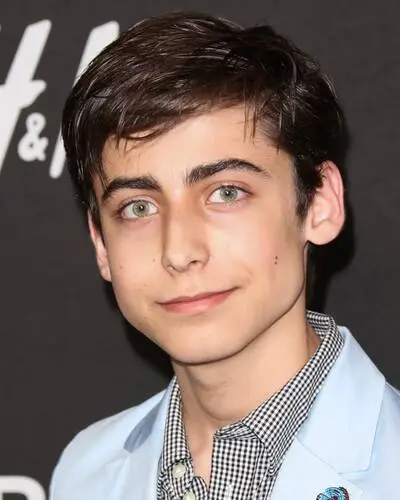 Aidan Gallagher Wall Poster picture 892875
