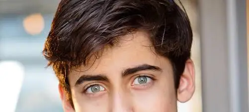 Aidan Gallagher Wall Poster picture 892888