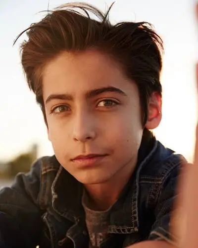 Aidan Gallagher Wall Poster picture 892897