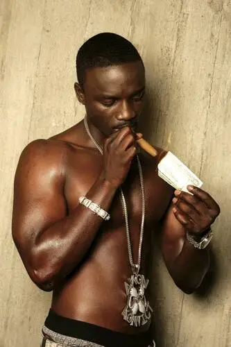 Akon Fridge Magnet picture 905984