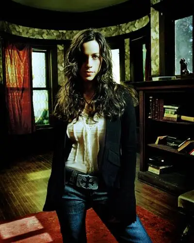 Alanis Morissette Wall Poster picture 1318