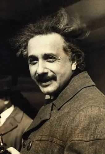 Albert Einstein Fridge Magnet picture 478170