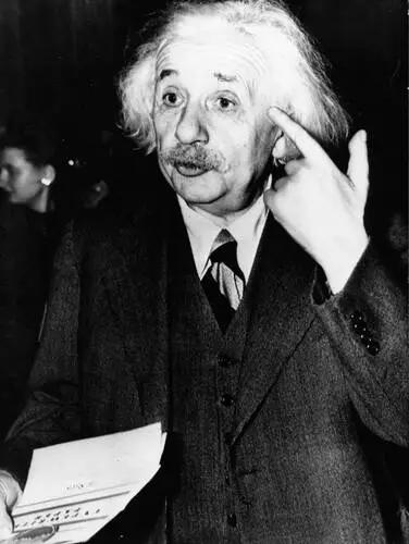 Albert Einstein Fridge Magnet picture 478174