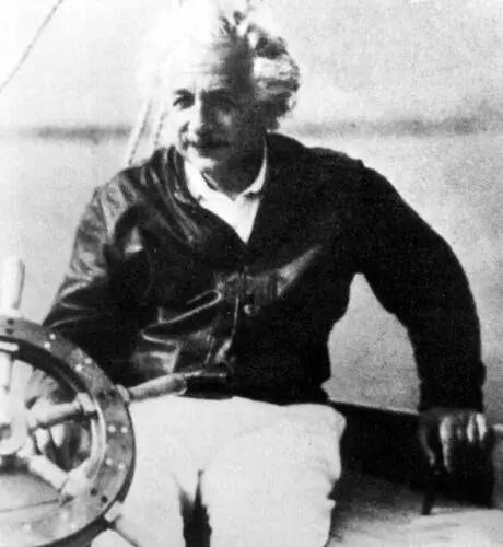 Albert Einstein Fridge Magnet picture 478177
