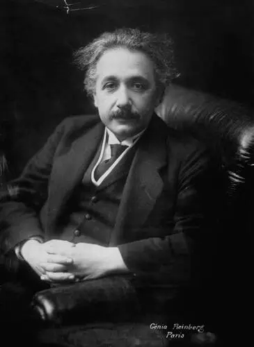 Albert Einstein Fridge Magnet picture 478178