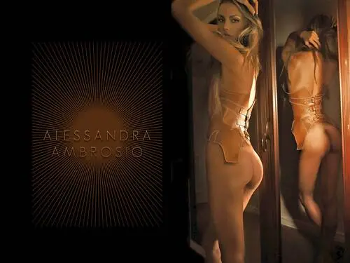 Alessandra Ambrosio Tote Bag - idPoster.com