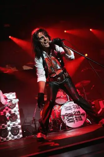 Alice Cooper Wall Poster picture 475931