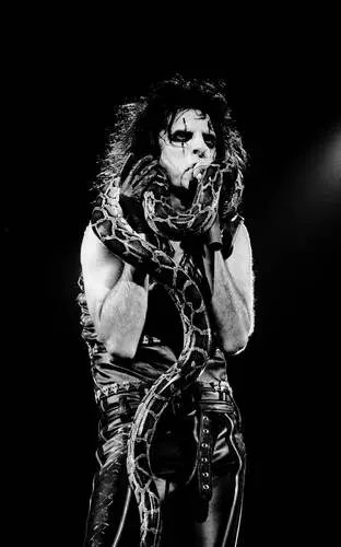 Alice Cooper Wall Poster picture 476042