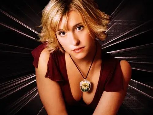 Allison Mack Wall Poster picture 79131