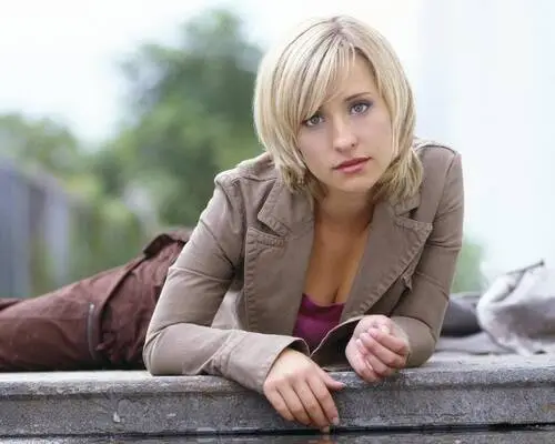 Allison Mack Wall Poster picture 79136