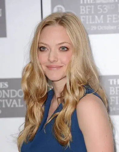 Amanda Seyfried Wall Poster picture 111493