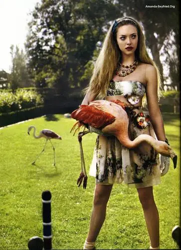 Amanda Seyfried Wall Poster picture 154537