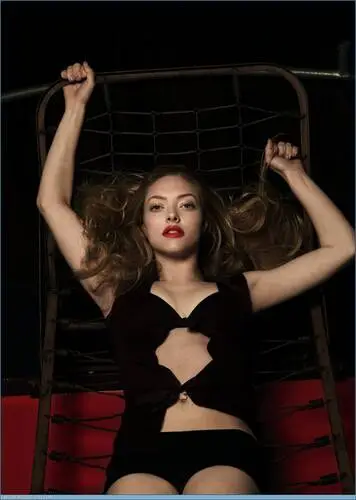 Amanda Seyfried Wall Poster picture 59911